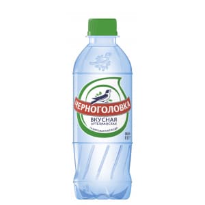 Вода минеральная газированная ЧЕРНОГОЛОВКА, ПЭТ 0,33л