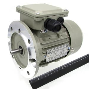 Мотор Focus-M2/Focus-FS/Twister-M/Twister-FS/Carnival (выпуска до июля 2022 года) и Monster RoboLabs 11011
